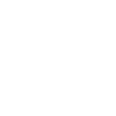 icon globe chart