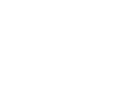 Sirius Group logo
